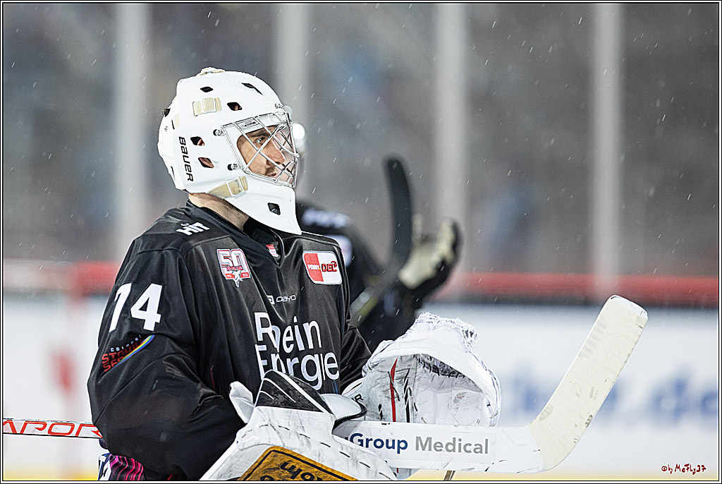 PENNY DEL;  Kölner Haie - Fischtown Pinguins; Köln, 22.12.2022
